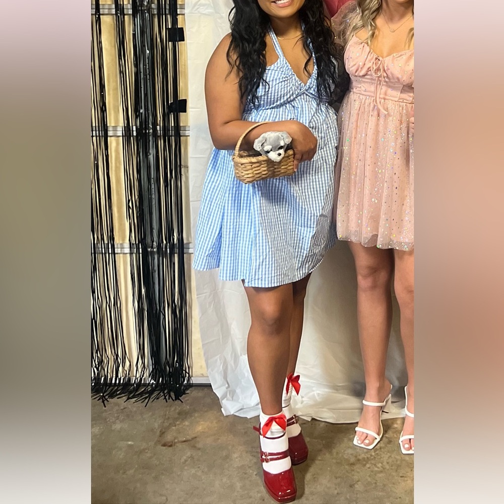 Dorthy wizards of oz Halloween costume